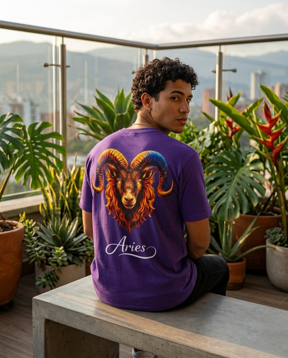 Camiseta de Aries para hombre – HeyInterests
